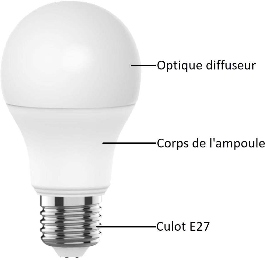 Ampoule LEXMAN couleur et blanc - vue du produit.png