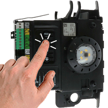 Dexxo 800 Smart io - Reset 02.gif