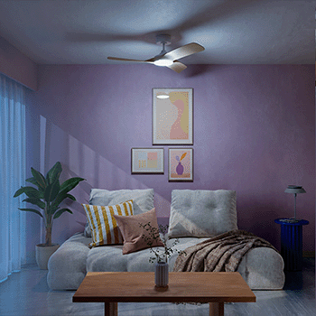 Aruba - Etat de l'objet - 04.gif