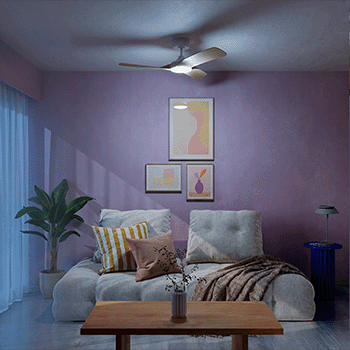 Aruba - Etat de l'objet - 03.gif
