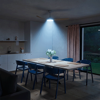 Tokyo - Etat de l'objet - 02.gif
